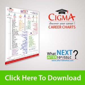 Career Chart