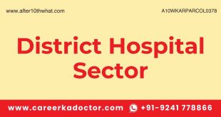 District Hospital Sector