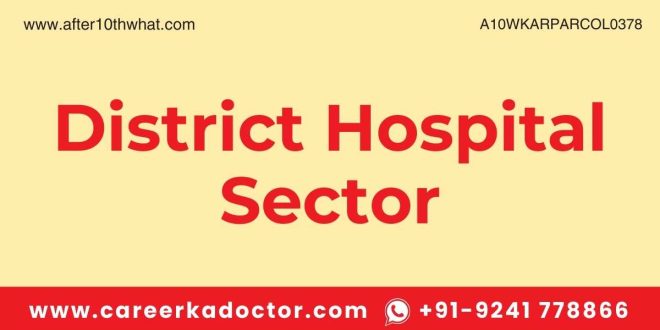 District Hospital Sector