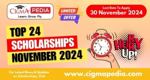 Scholarships for November 2024